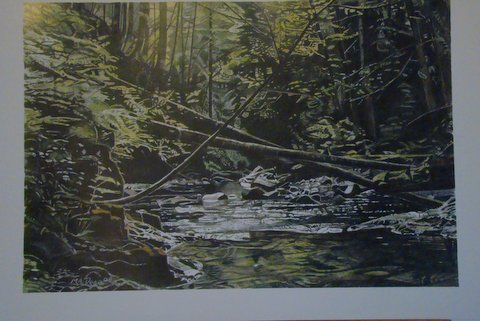 Holland Creek