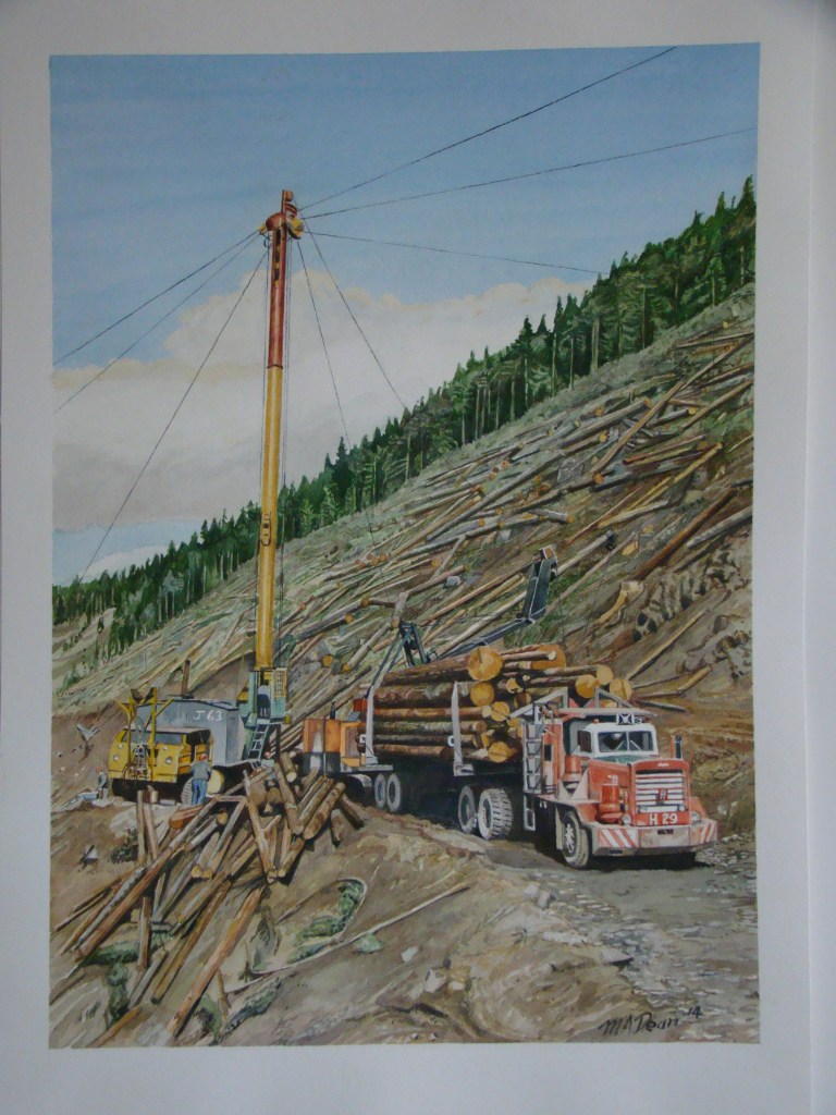 Logging at Copper Canyon