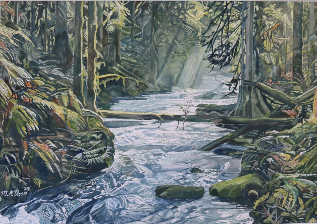 Stocking Creek in Fall